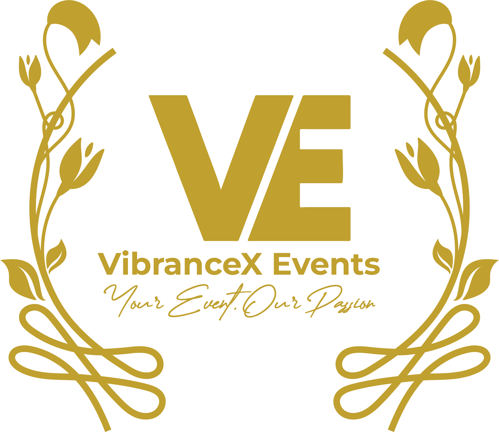 Vibrance X logo